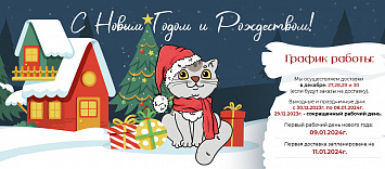 Новый год